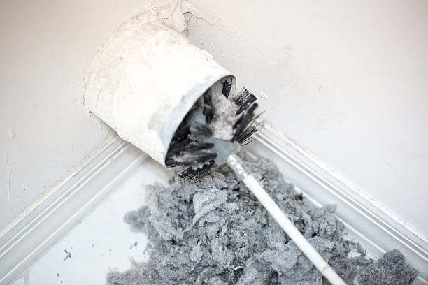 Best Professional Duct Cleaning Services  in Dormont, PA
